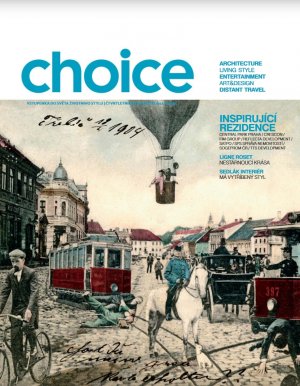 Choice 2011